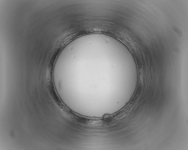 X0000115830410200912111316