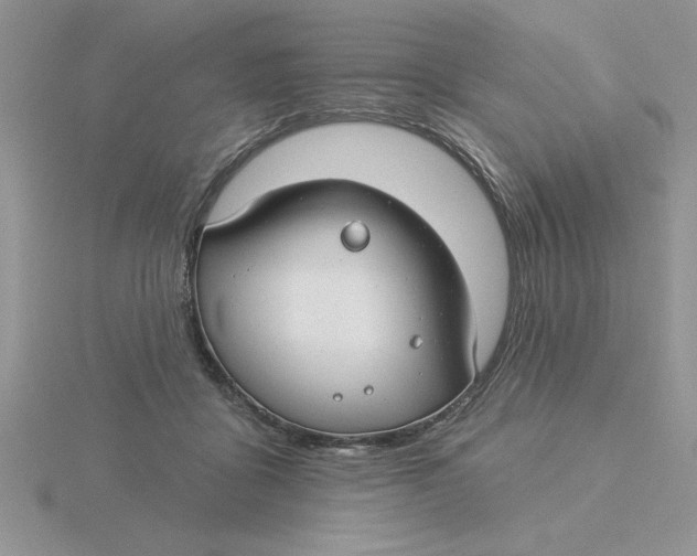 X0000115830411200912111316