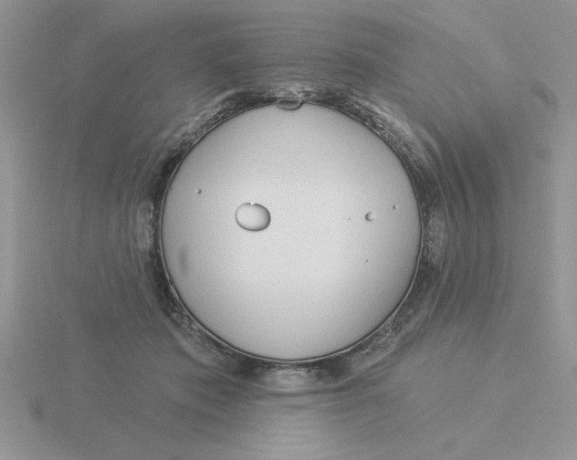 X0000115830413200912111316