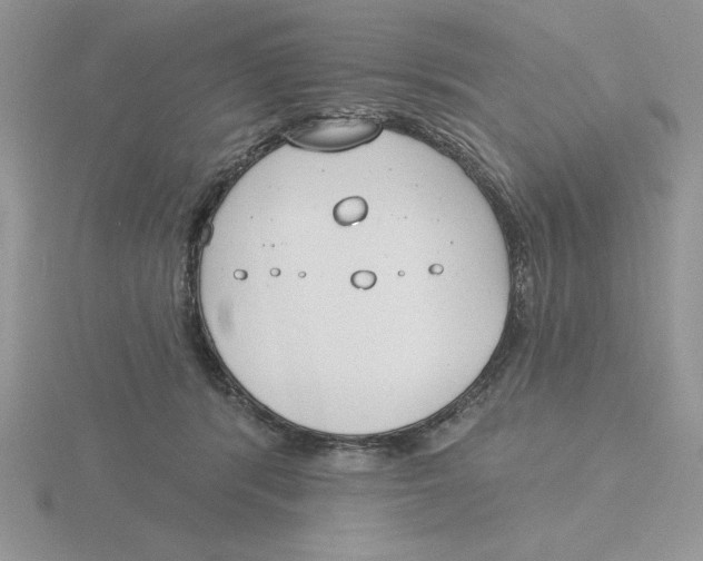 X0000115830416200912111316