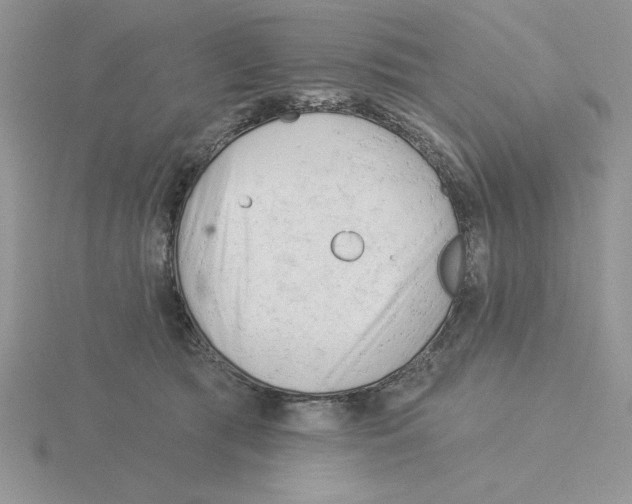 X0000115830417200912111316