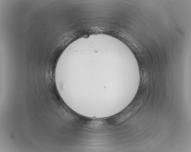 X0000115830418200912111316