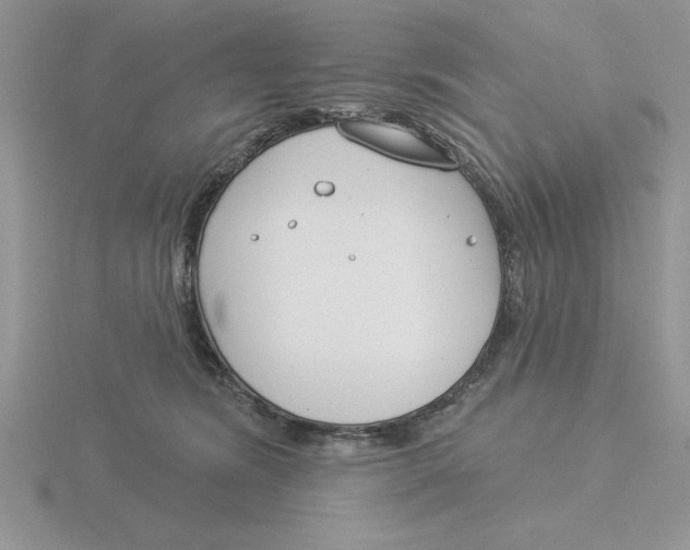 X0000115830420200912111316