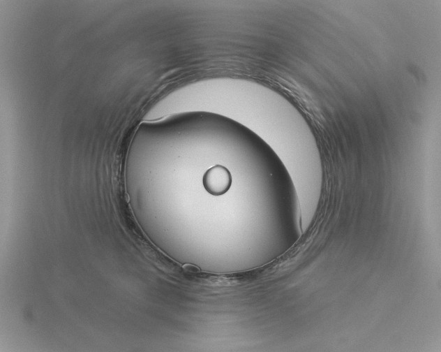 X0000115830421200912111316