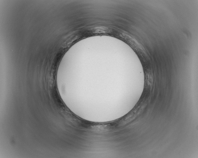 X0000115830422200912111316