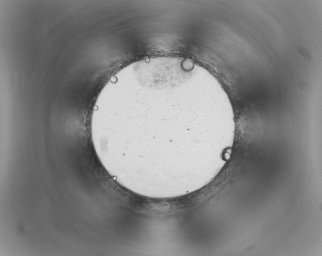 X0000115830423200912111316