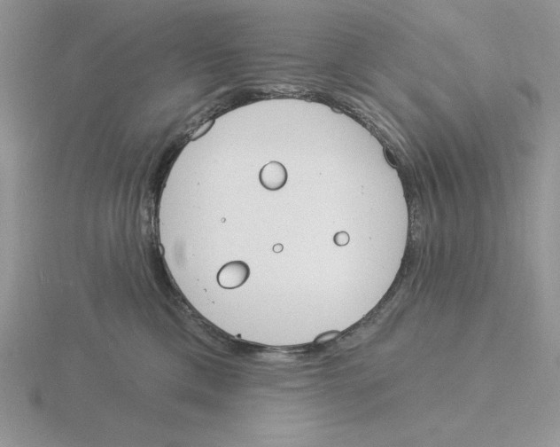 X0000115830425200912111316