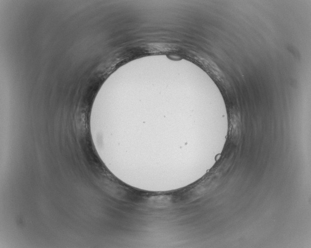 X0000115830426200912111316