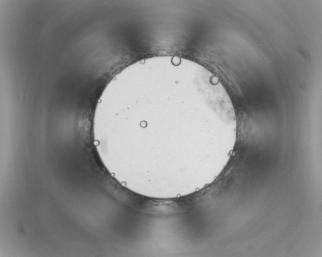 X0000115830427200912111316