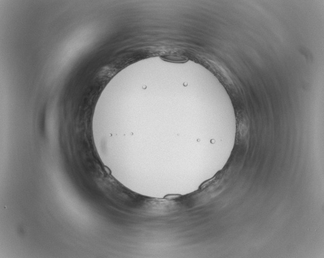 X0000115830429200912111316