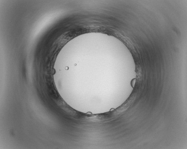 X0000115830430200912111316