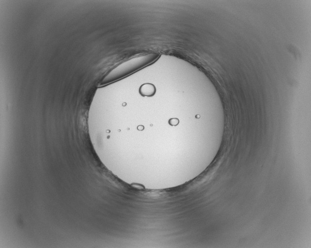 X0000115830432200912111316