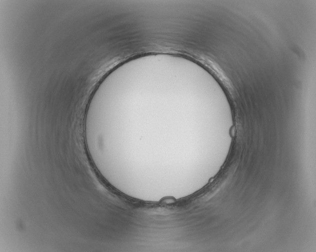 X0000115830433200912111315