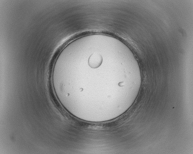 X0000115830440200912111315