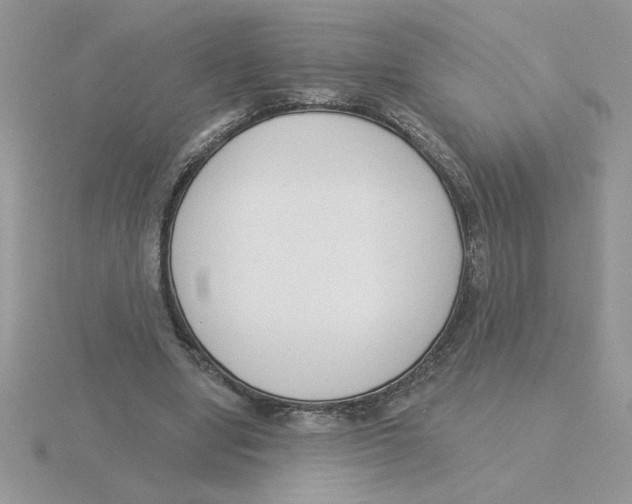 X0000115830442200912111315