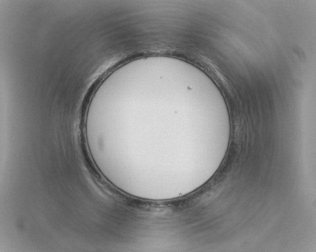 X0000115830443200912111315