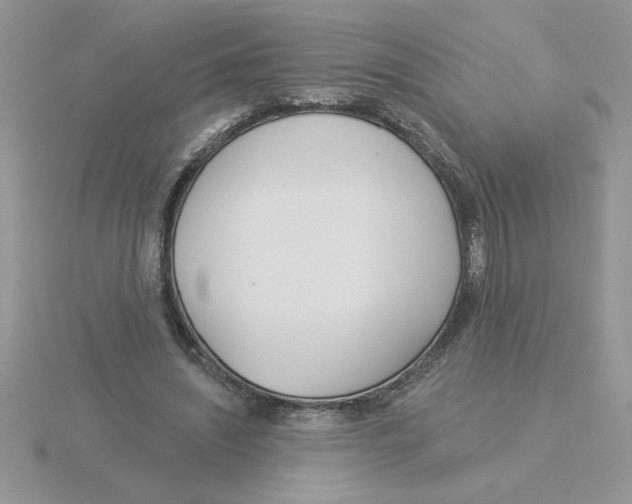 X0000115830444200912111316