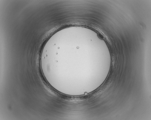 X0000115830445200912111316