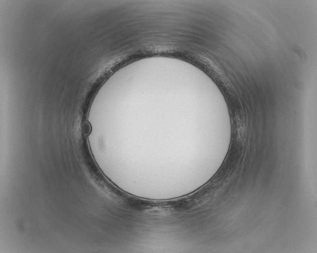 X0000115830447200912111316