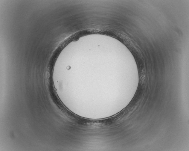 X0000115830448200912111316