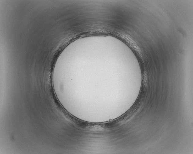 X0000115830449200912111316