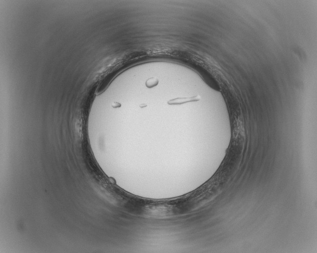 X0000115830452200912111316