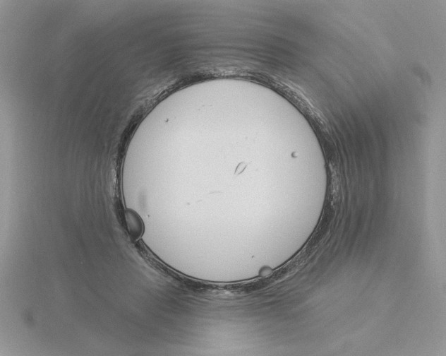 X0000115830453200912111316