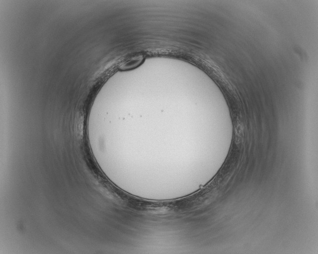 X0000115830454200912111316