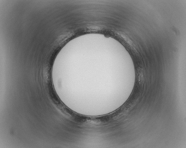 X0000115830455200912111316