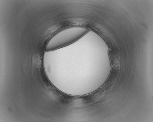 X0000115830456200912111316