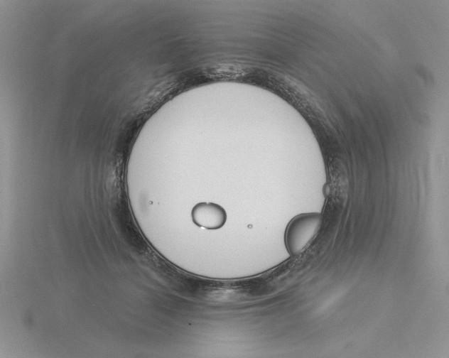 X0000115830460200912111316