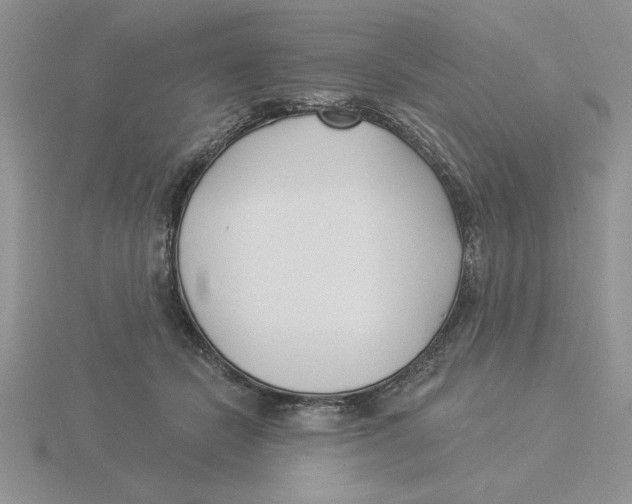 X0000115830462200912111316