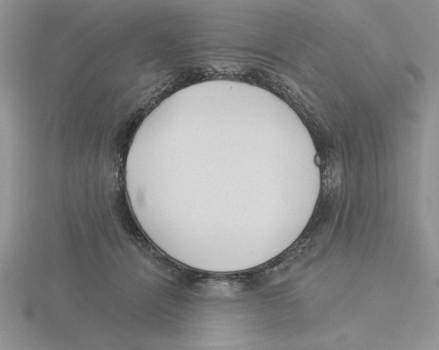 X0000115830464200912111316