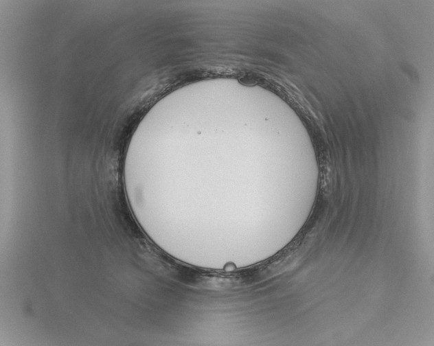 X0000115830466200912111316