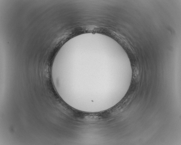 X0000115830470200912111316