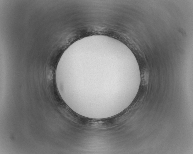 X0000115830472200912111316