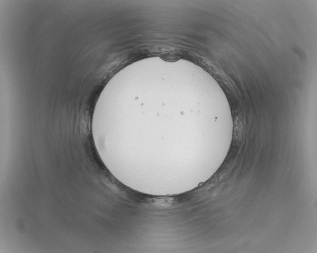 X0000115830474200912111316