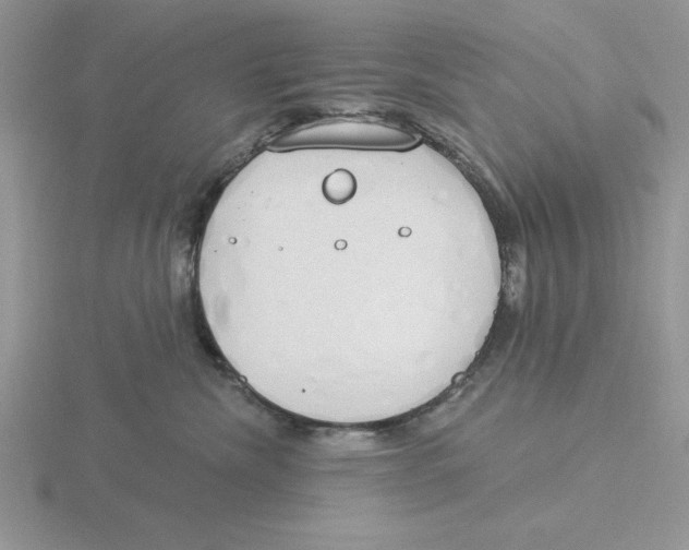 X0000115830476200912111316