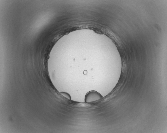 X0000115830477200912111316