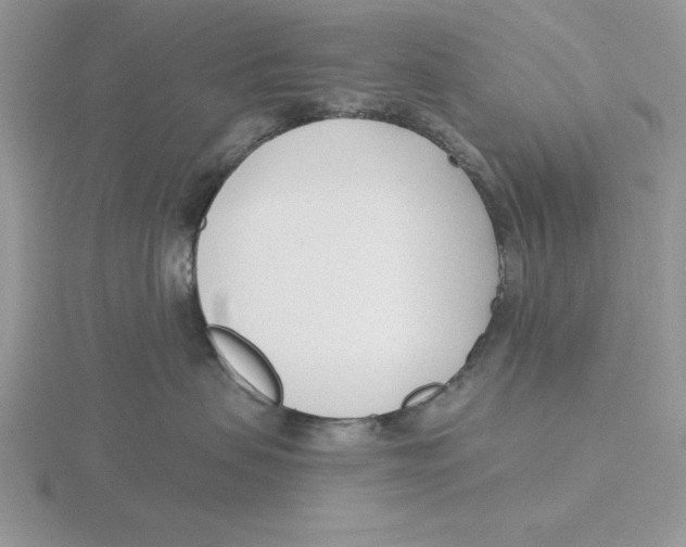 X0000115830479200912111316