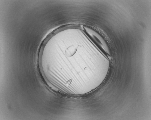 X0000115830484200912111315