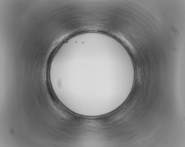 X0000115830486200912111315