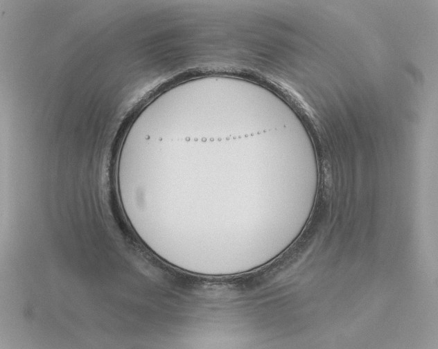 X0000115830487200912111315