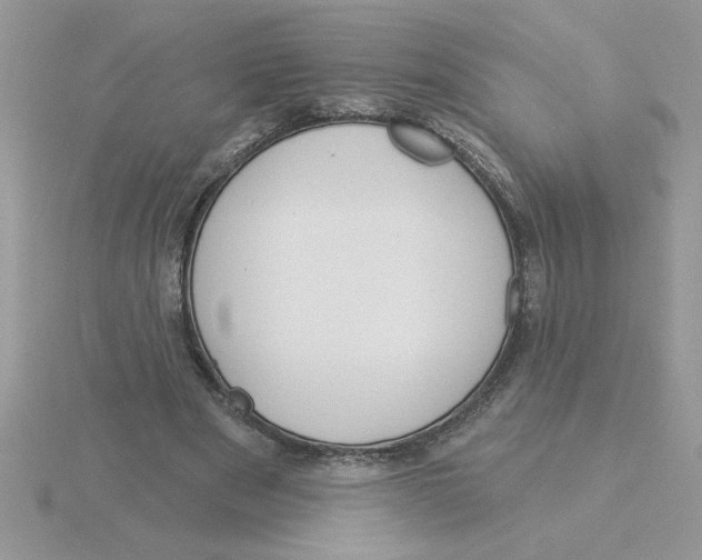 X0000115830489200912111315