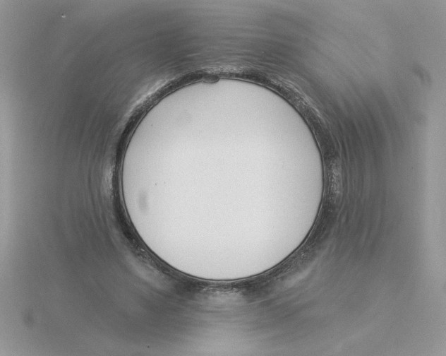 X0000115830491200912111315