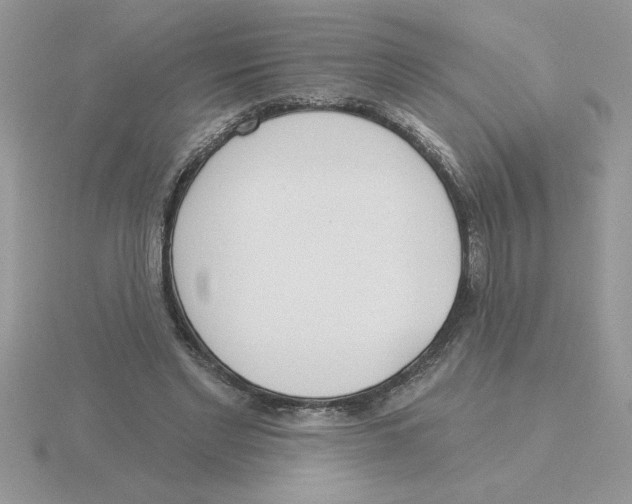 X0000115830493200912111315