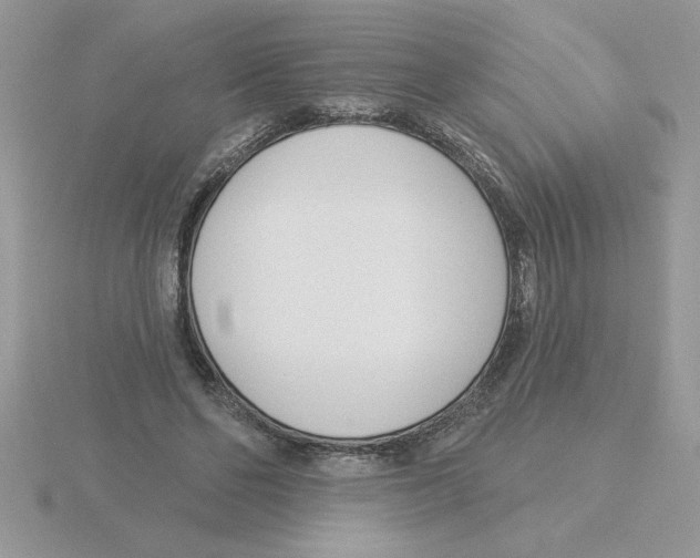 X0000115830494200912111315