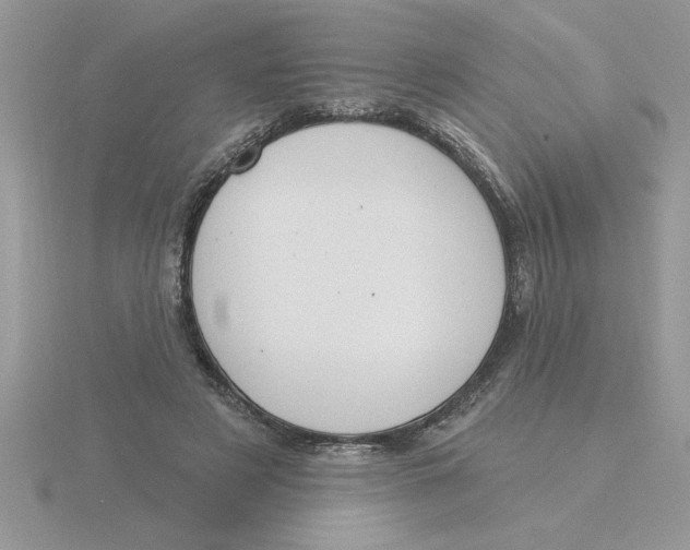 X0000115830497200912111315