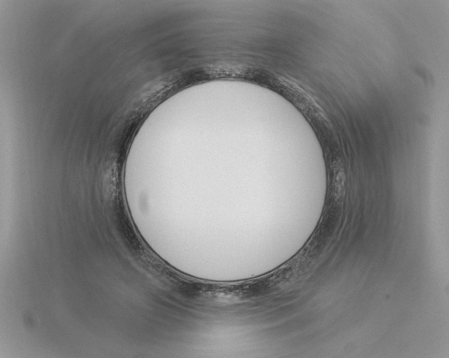 X0000115830498200912111315