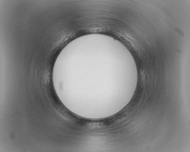 X0000115830499200912111315